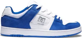 DC Manteca 4 S / Blue / White